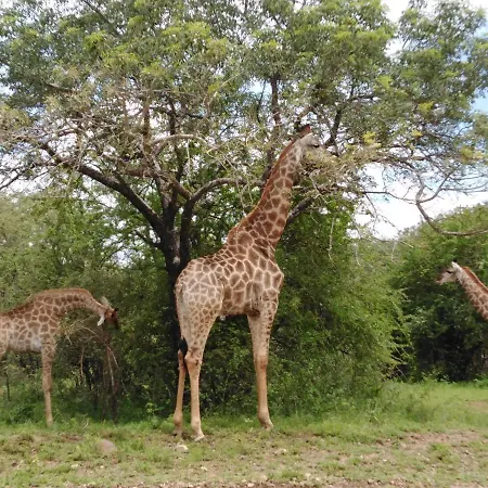 Villa Kudu Mal Marloth Park Exterior foto