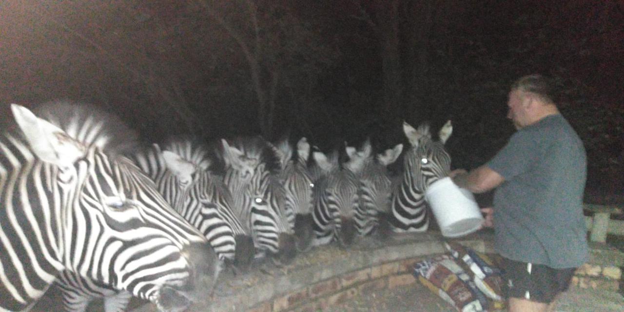 Casa de Férias Kudu Mal Marloth Park