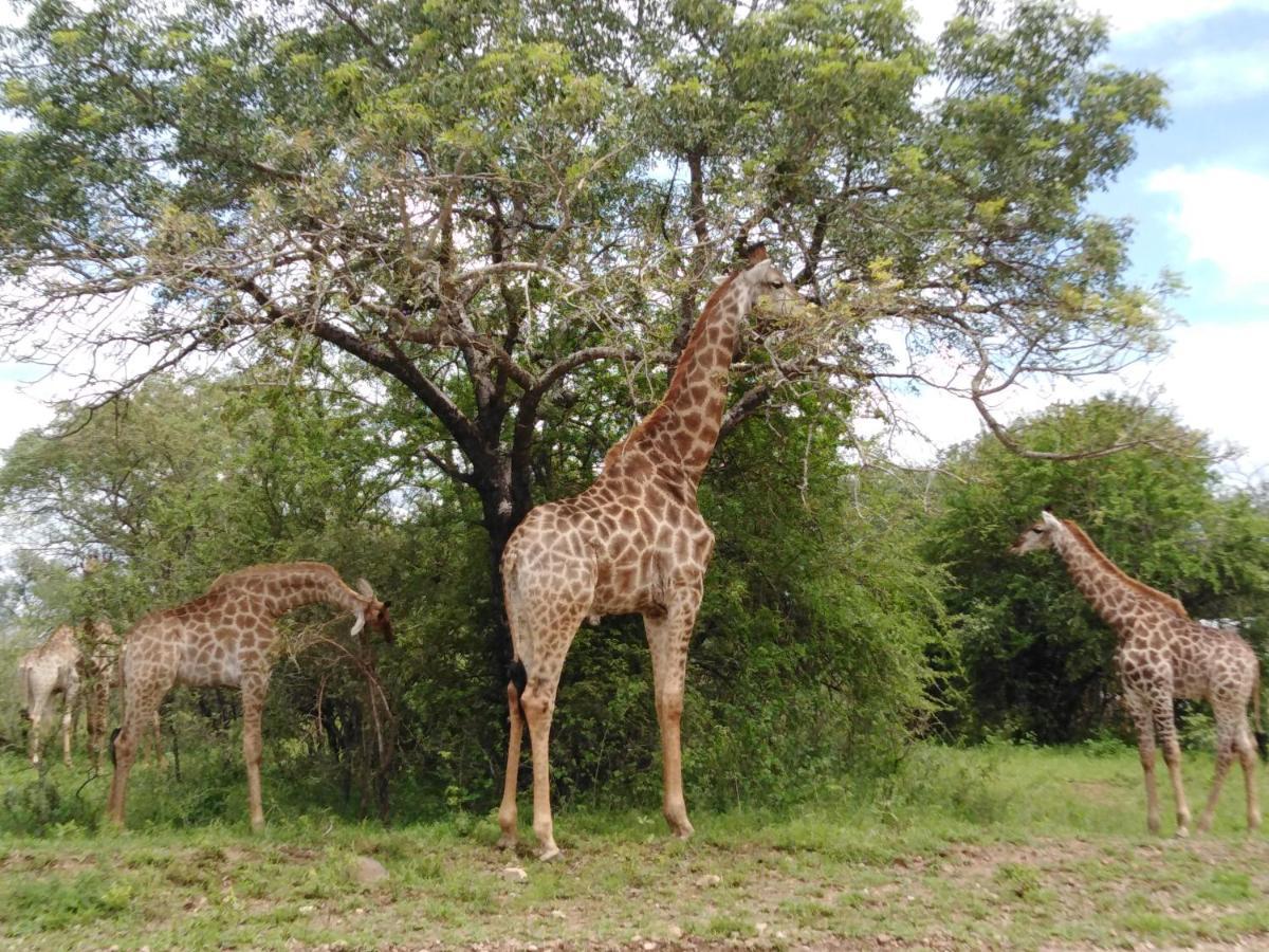 Casa de Férias Kudu Mal